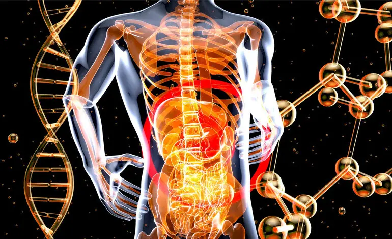 𝗜𝗟 𝗖𝗢𝗥𝗣𝗢: 𝗨𝗟𝗧𝗜𝗠𝗢 𝗦𝗜𝗡𝗗𝗔𝗖𝗔𝗧𝗢