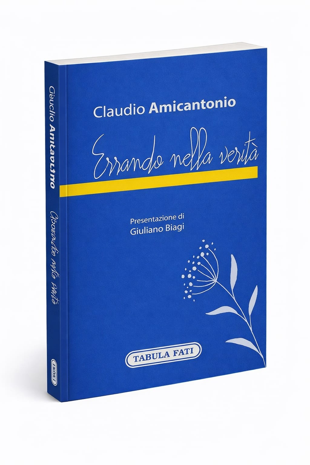 Intorno a “Errando nella verità”. Interrogarsi sul libro di Claudio Amicantonio