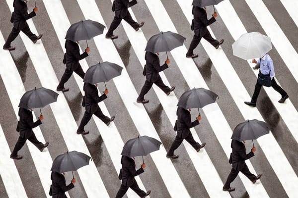 Che noia il conservatorismo dei progressisti